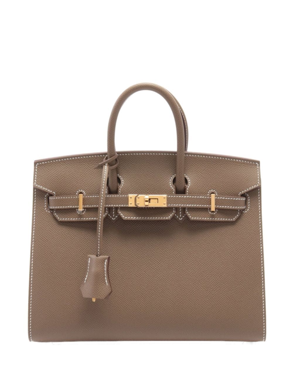 2024 Birkin 25 tote bag