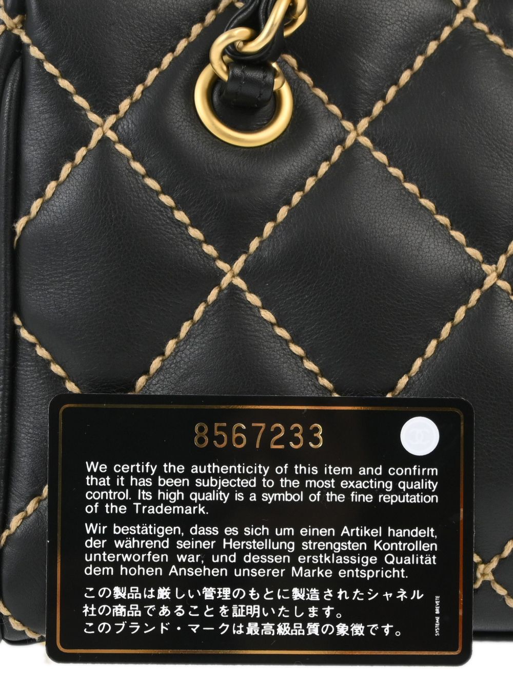 CHANEL Pre-Owned 2003 Wild Sitch handbag WOMEN