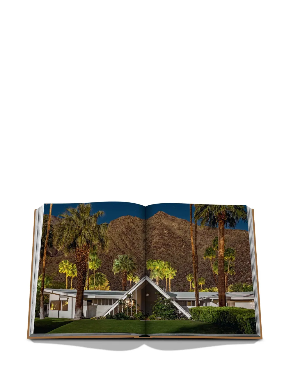 Assouline Palm Springs By Sheila Hamilton Hardcover Book In Brown