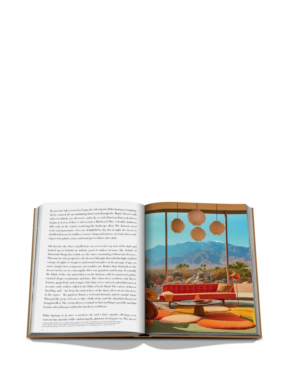 Assouline Palm Springs By Sheila Hamilton Hardcover Book In Brown