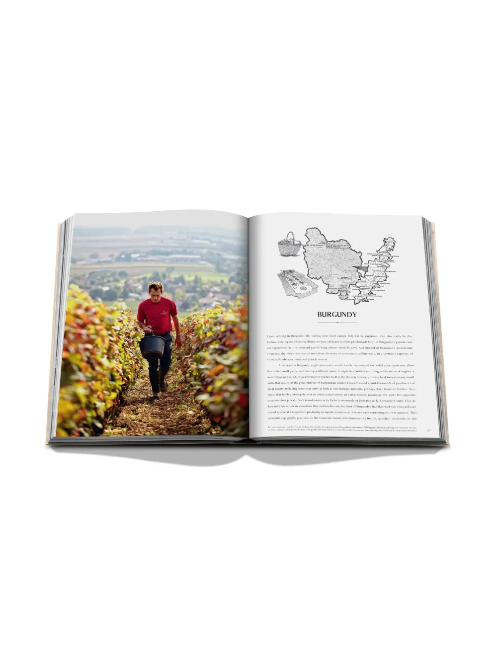 ASSOULINE WINE & TRAVEL FRANCE BY ENRICO BERNARDO HARDCOVER BOOK 