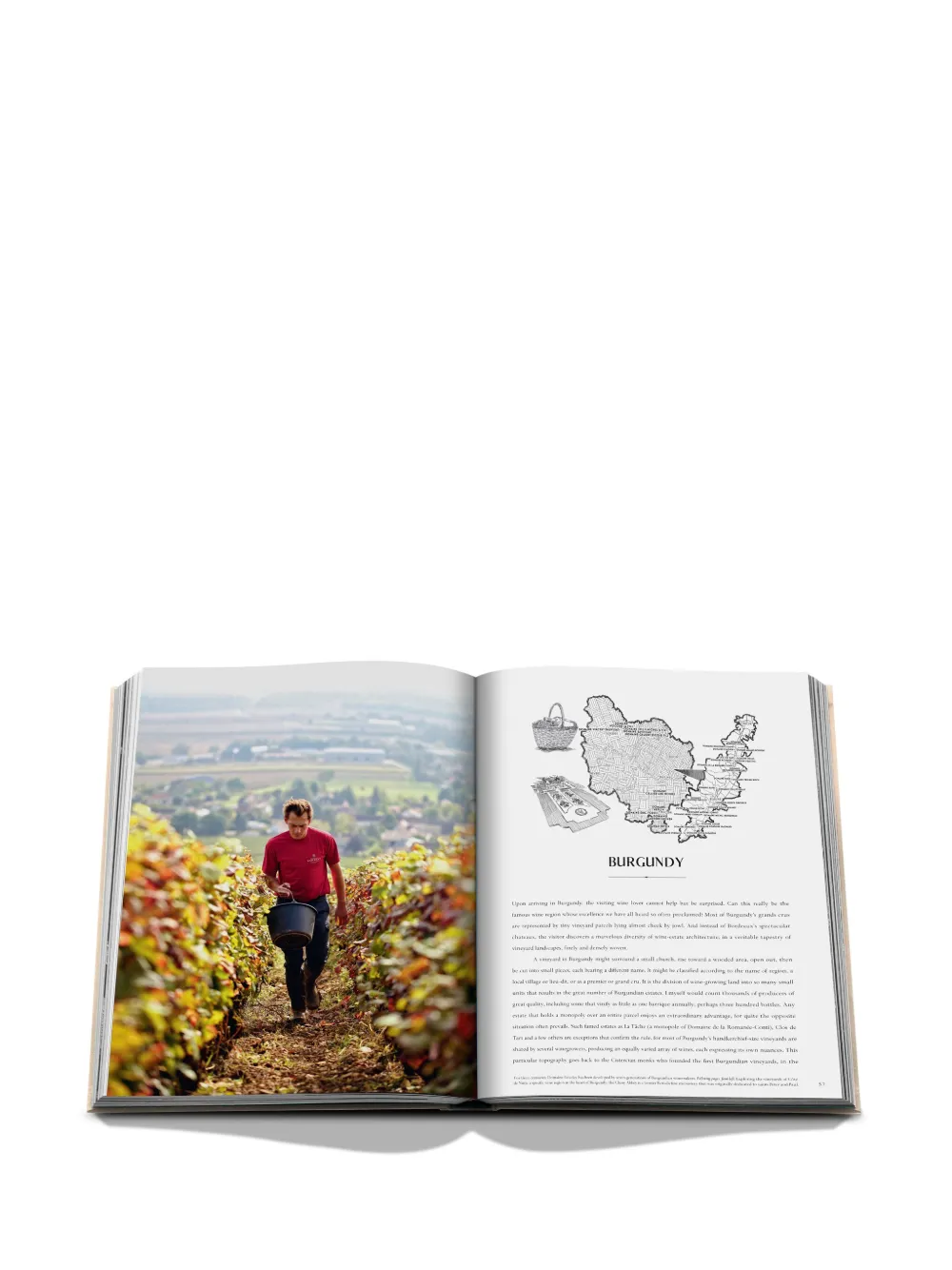 Assouline Wine & Travel France By Enrico Bernardo アートブック | オレンジ ...