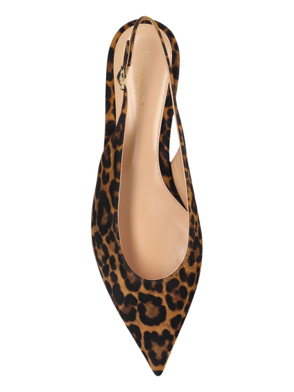 Affordable Gianvito Rossi leopard-print pointed sandals Women