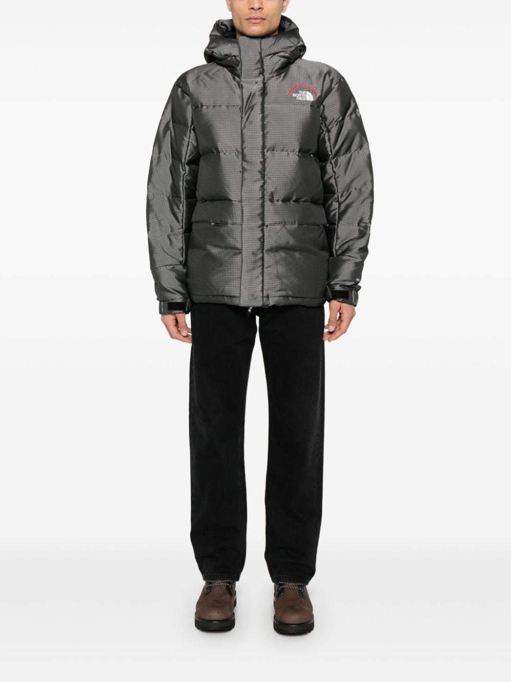 The North Face 30th Anniversary Himalayan jack - Grijs