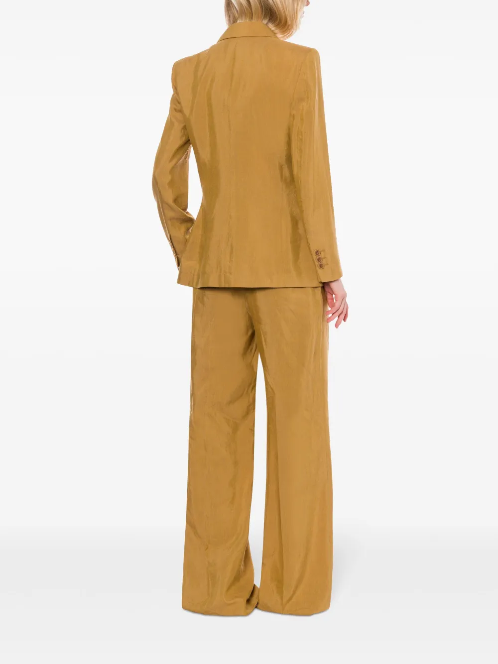 Alberta Ferretti Blazer met dubbele rij knopen Bruin