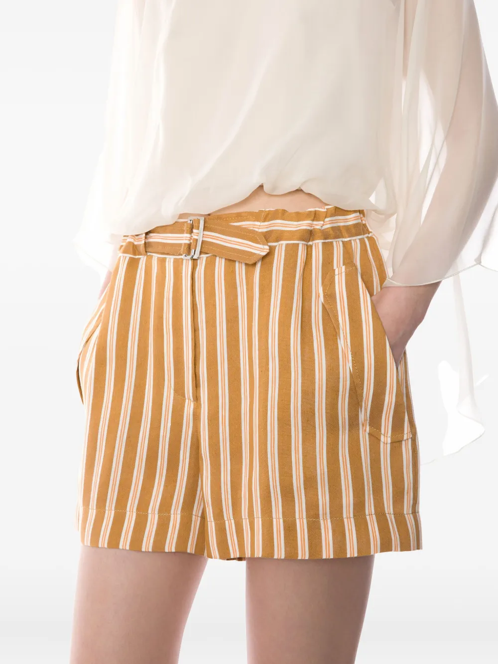 Alberta Ferretti Gestreepte shorts Bruin