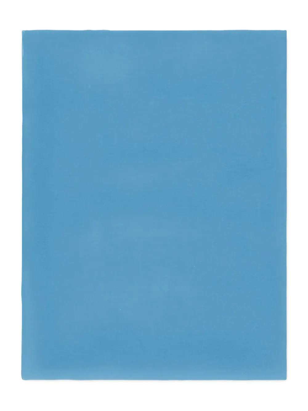 Alberta Ferretti Zijden sjaal Blauw