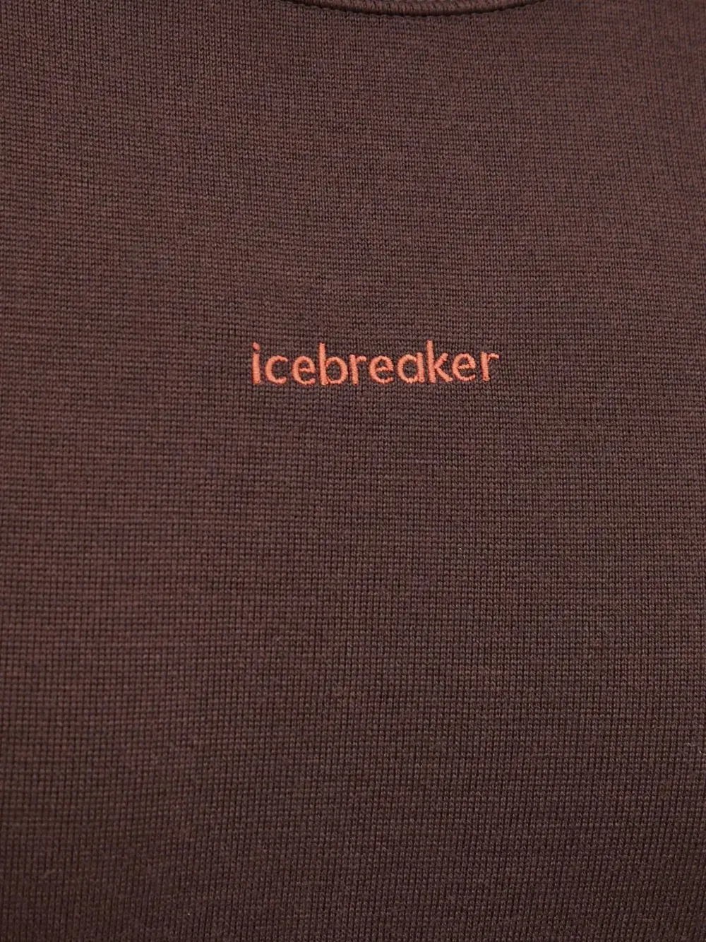 icebreaker Top met lange mouwen Bruin