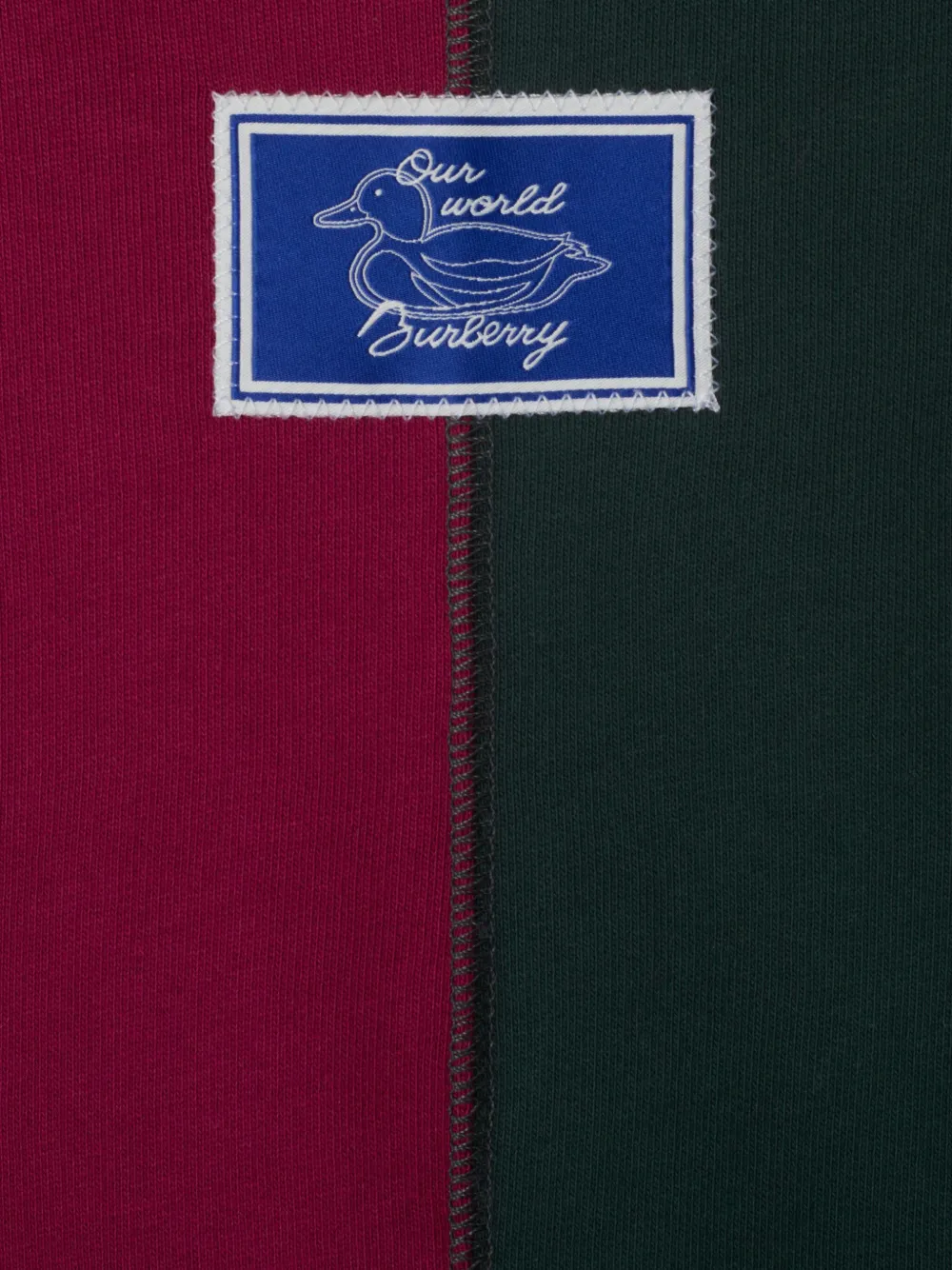 Burberry Kids Hoodie met colourblocking Groen