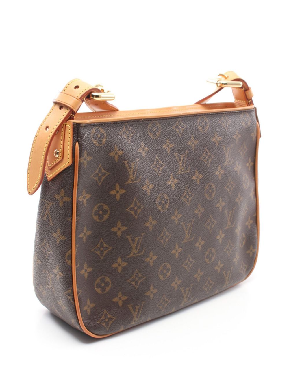 Louis Vuitton Pre-Owned 2006 Hudson GM shoulder bag - Bruin