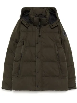 Canada Goose