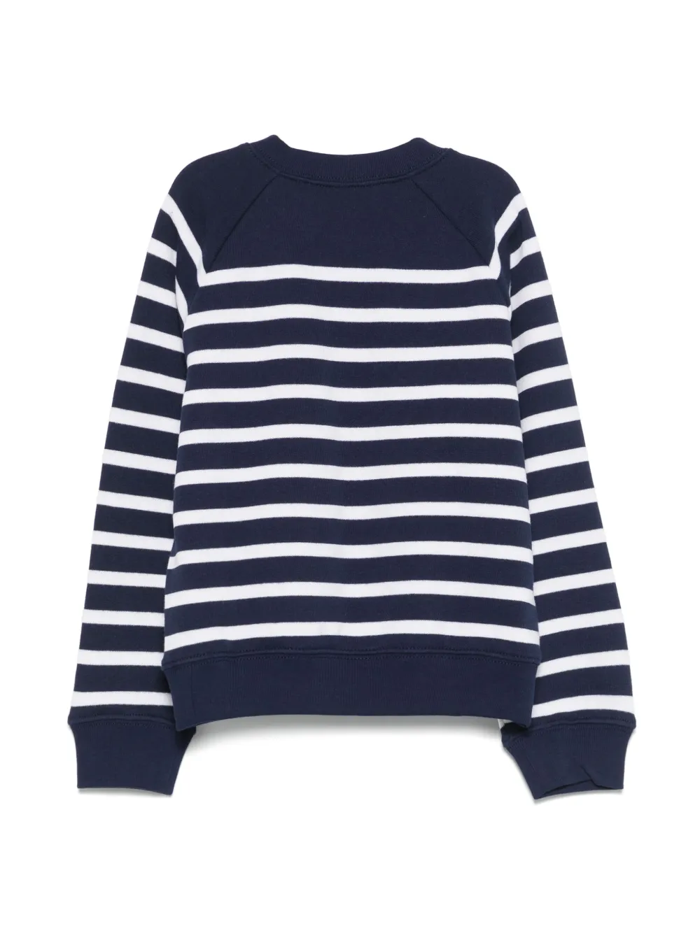 POLO RALPH LAUREN KIDS Gestreepte sweater Blauw