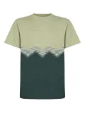 Missoni zigzag-print T-shirt - Green