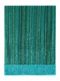 Missoni Zigzag scarf - Green