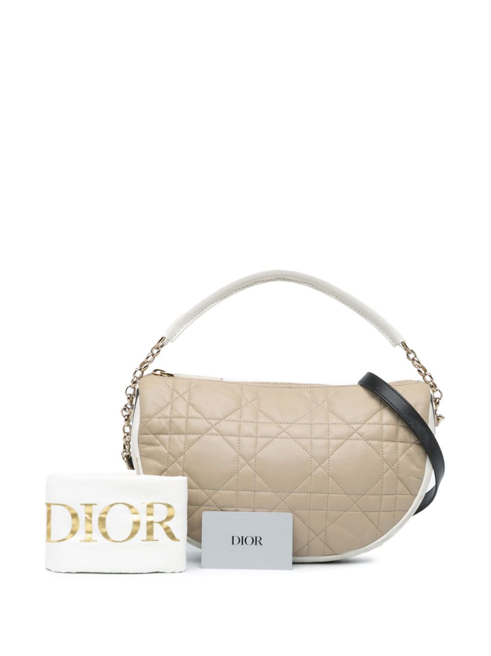 Christian Dior 2022 Medium Lambskin Cannage Dior Vibe Hobo satchel Women