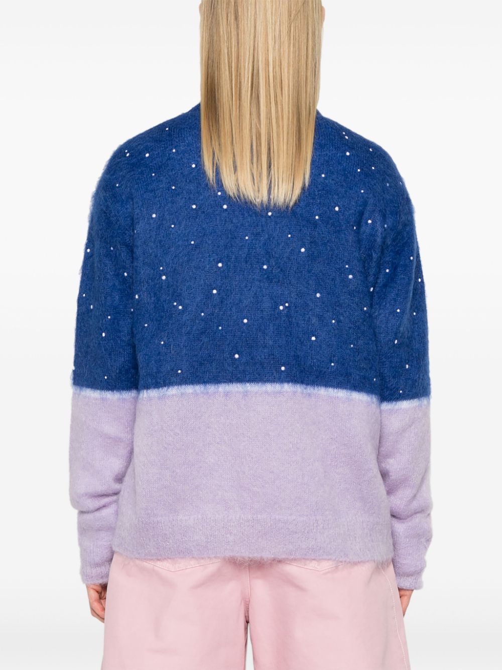 LOEWE brushed-effect sweater Women