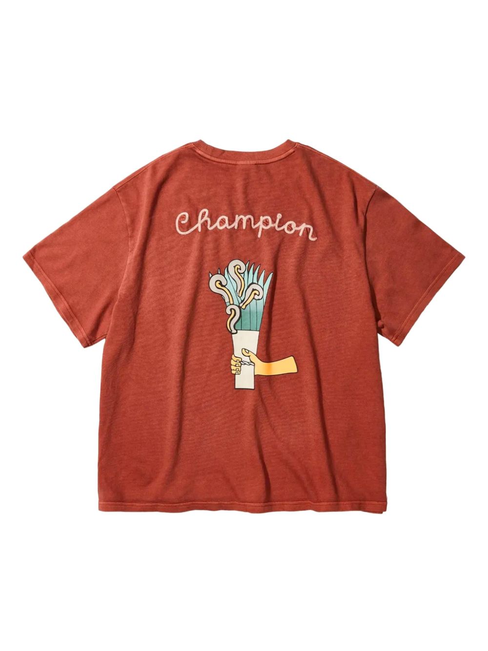 Champion logo-embroidered t-shirt - Bruin