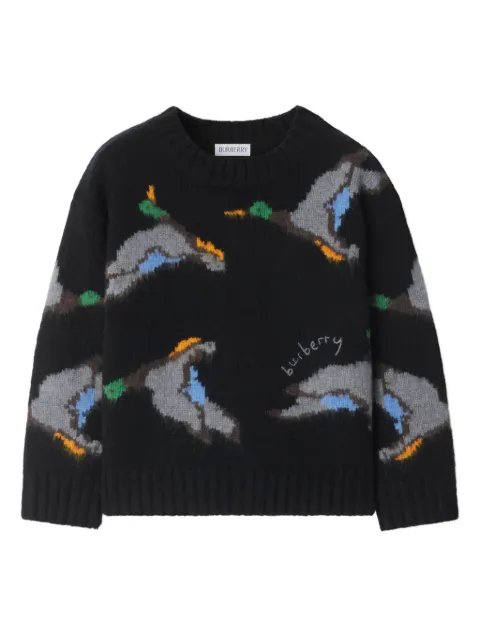 Burberry Kids Duck sweater