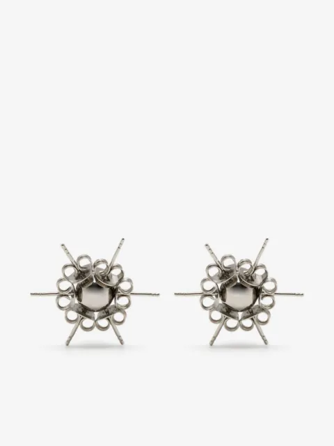 d'heygere puces d'oreilles XL