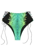 Noire Swimwear snake-print high-waist bikini bottoms - Green