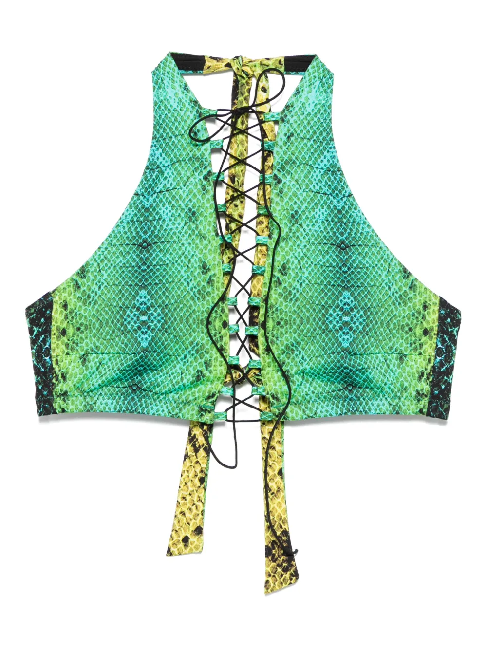 Noire Swimwear Snake-print Bikini Top In Green