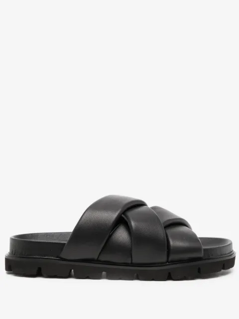 Senso Ian slides