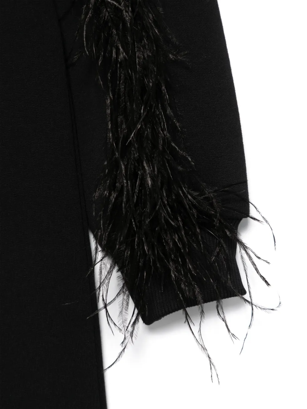Andorine Jurk met verendetail Zwart