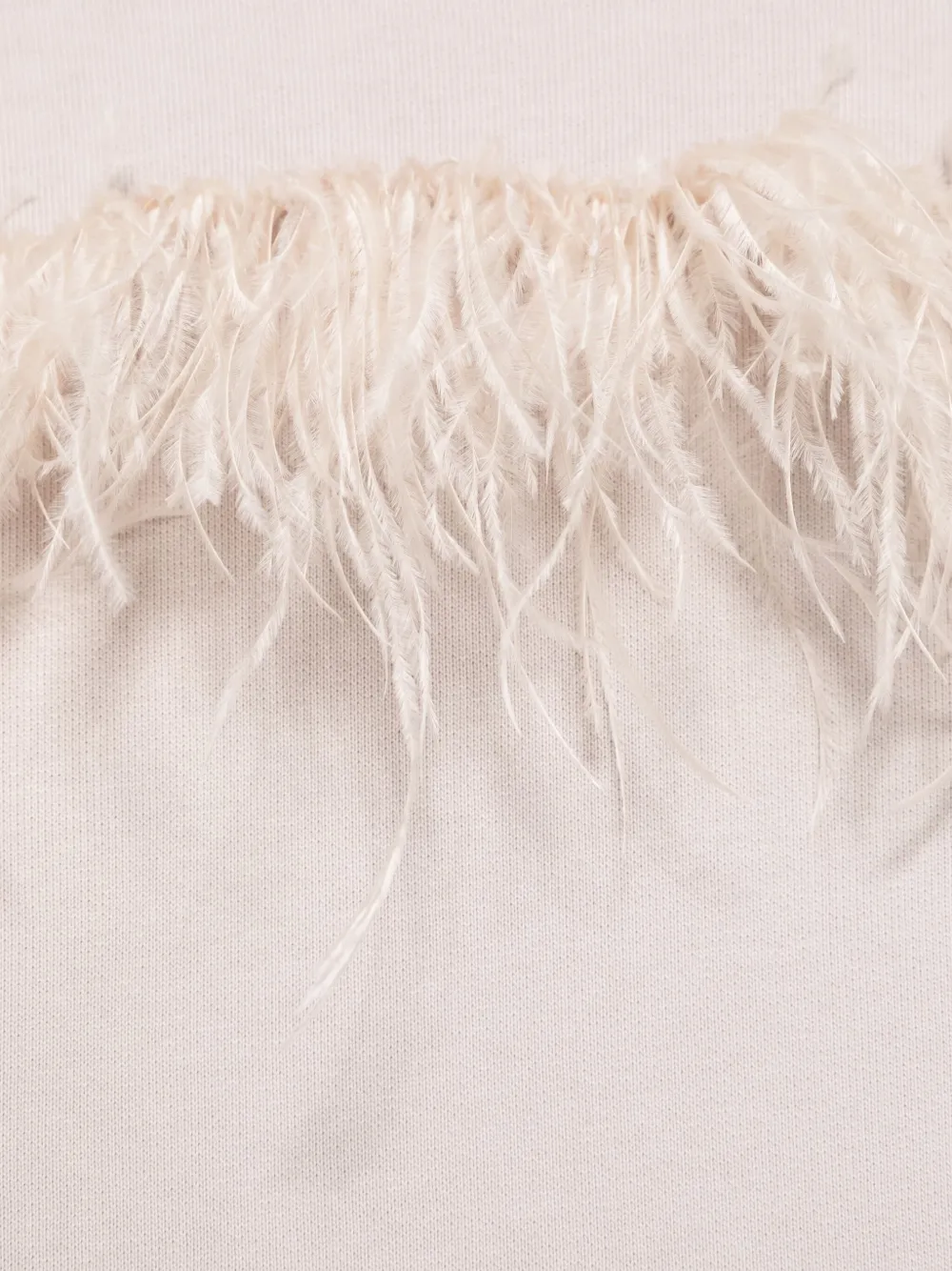 Andorine Jurk met verenafwerking Beige
