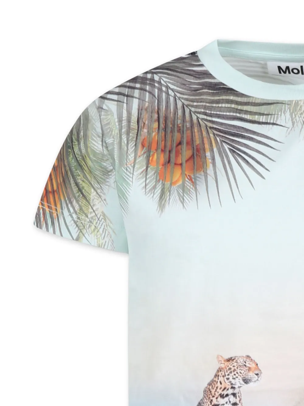 Molo Raul T-shirt Blauw