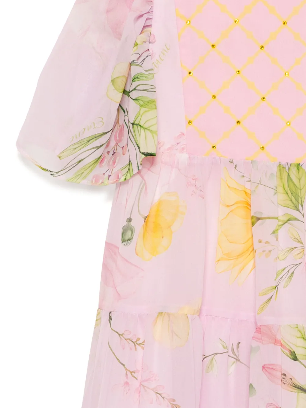 Shop Eirene Floral Chiffon Dress In Pink