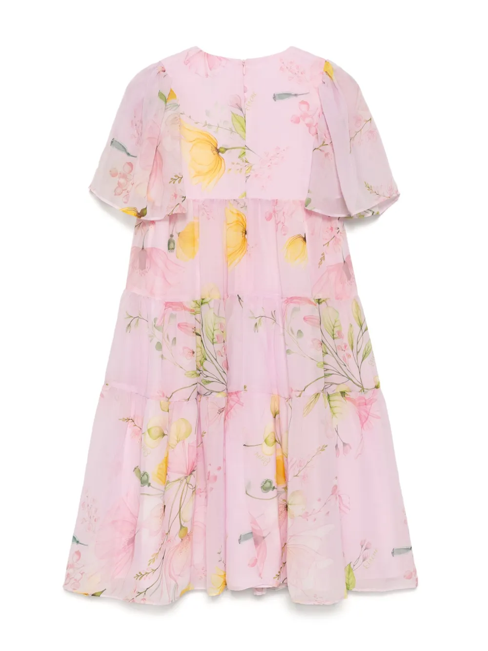 Shop Eirene Floral Chiffon Dress In Pink