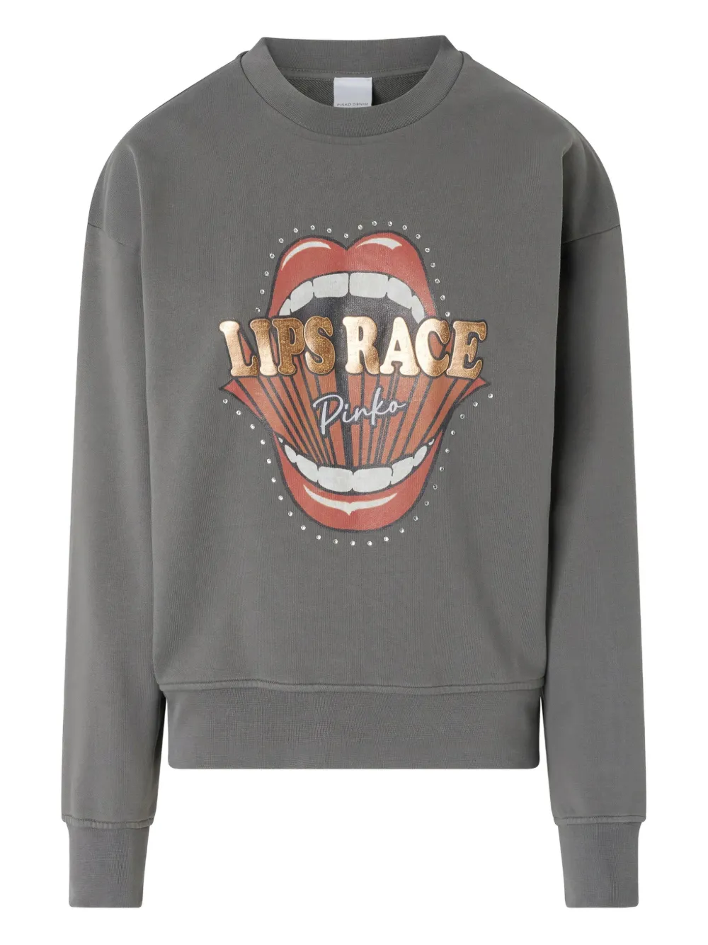 PINKO Sweater met print Grijs