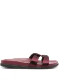 Ancient Greek Sandals Desmos slides - Purple