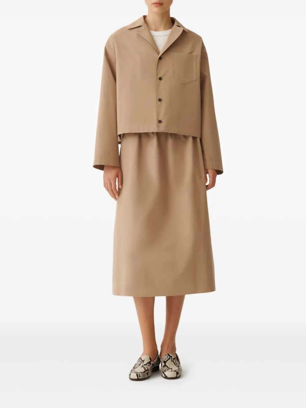 Shop Fabiana Filippi Cotton Cropped Jacket In 褐色