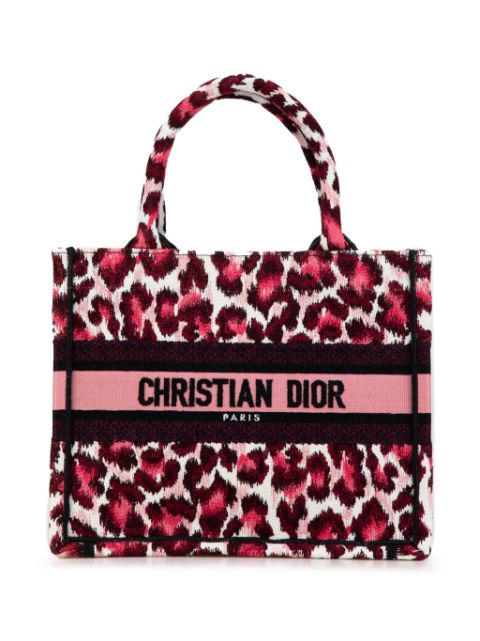 Christian Dior 2023 Small Leopard Mizza Book tote bag Women