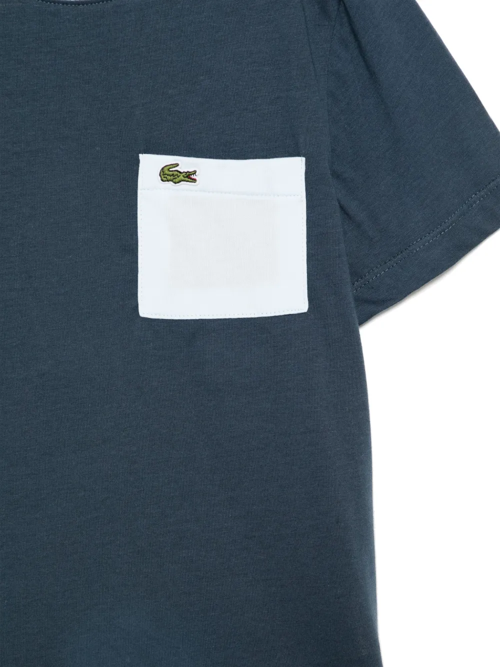 Lacoste Katoenen T-shirt Blauw