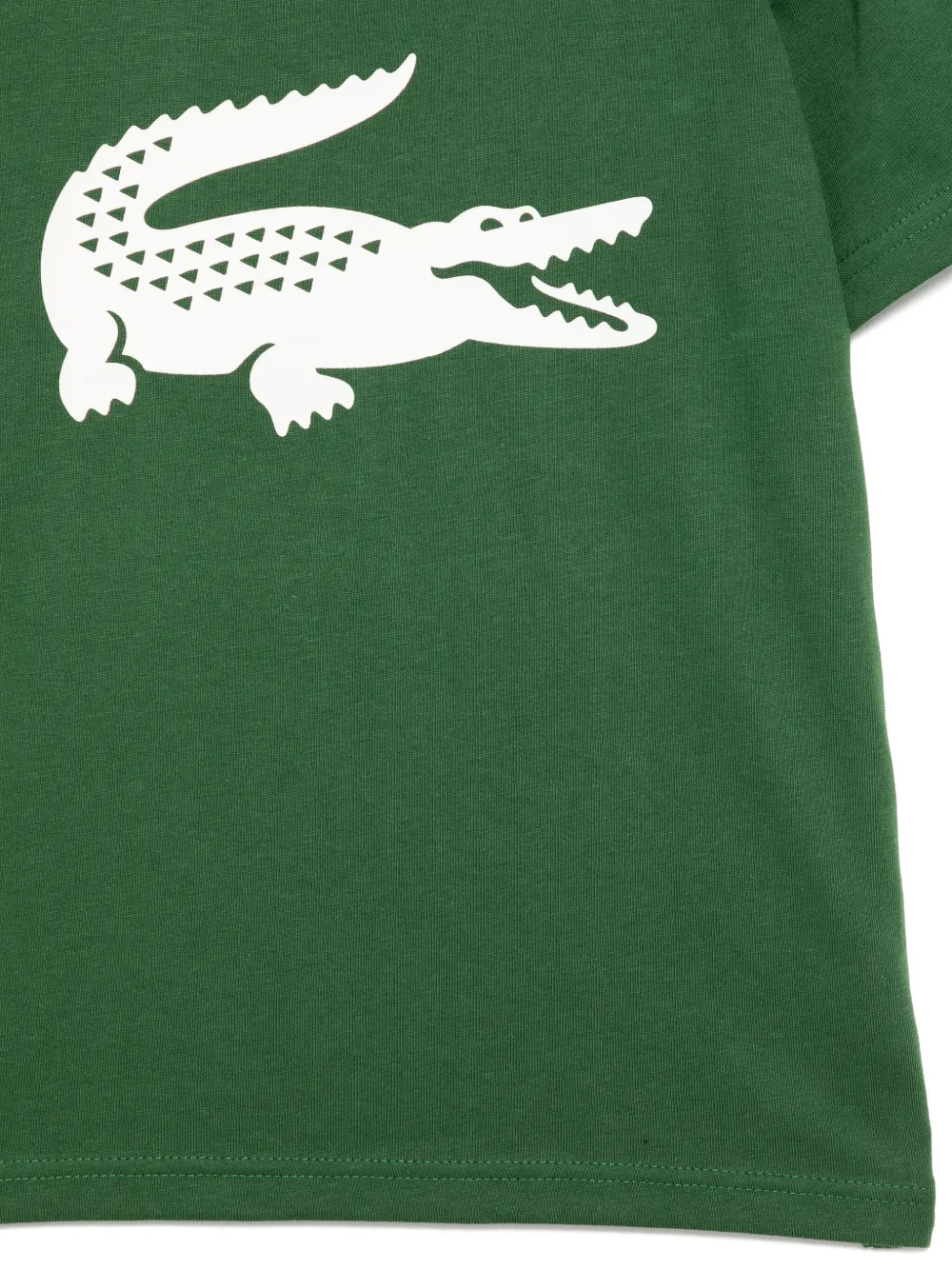 Lacoste Katoenen T-shirt Groen