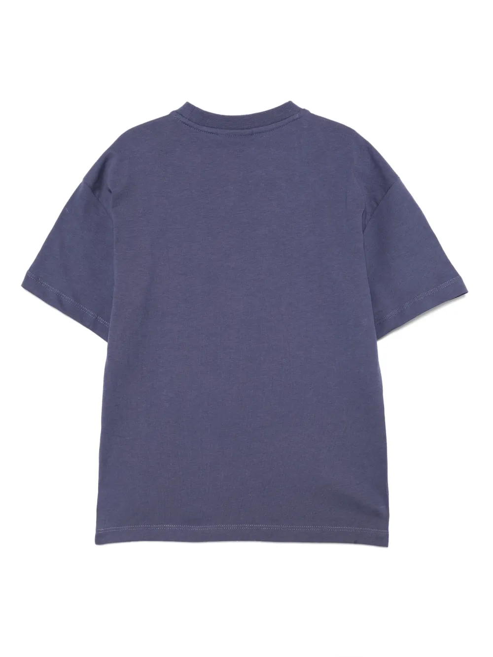 Lacoste T-shirt met print Blauw