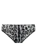 Dolce & Gabbana leopard-print briefs - Grey