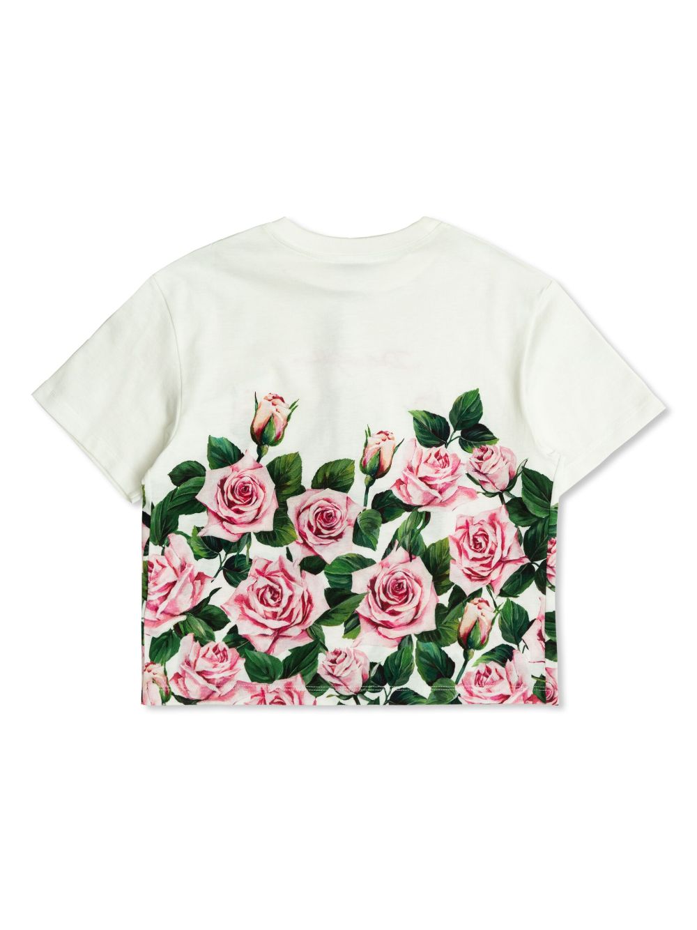 Dolce & Gabbana Kids T-shirt met roosprint - Wit