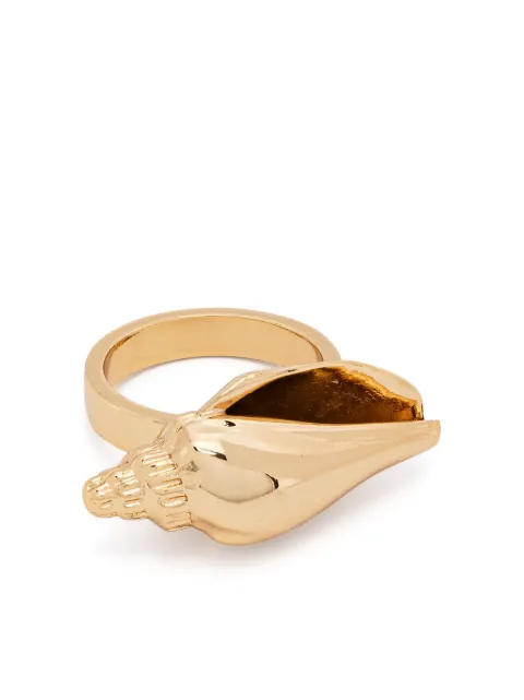 Tohum anillo Concha Colubra