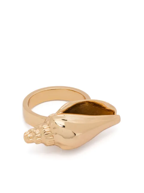 Tohum anillo Concha Colubra