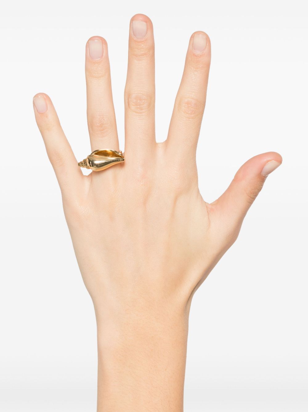 Tohum Concha Colubra ring - Goud