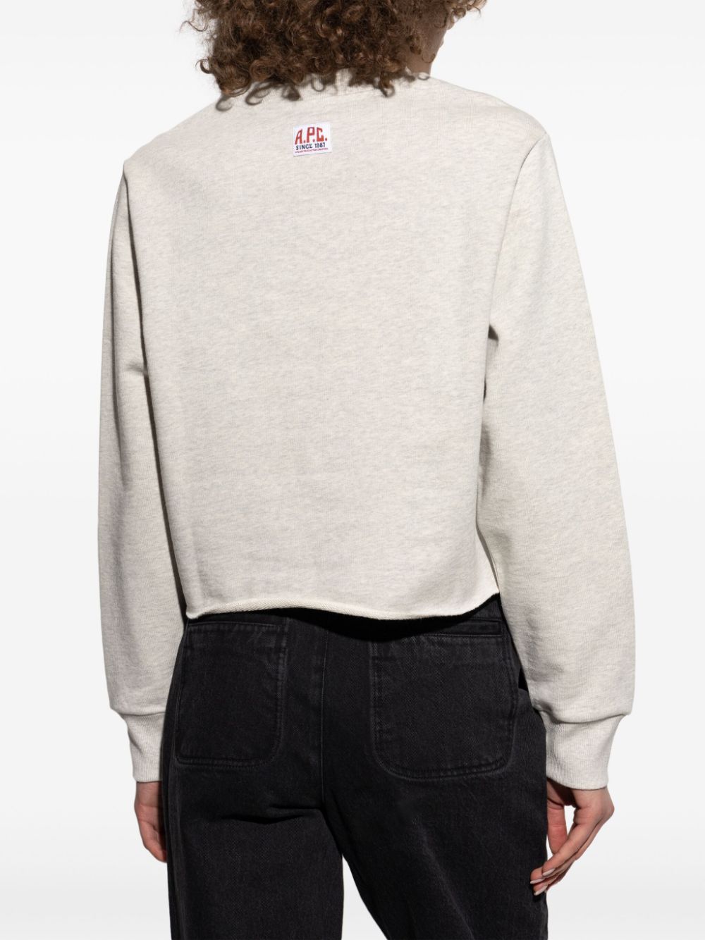 A.P.C. Label F sweater Grijs