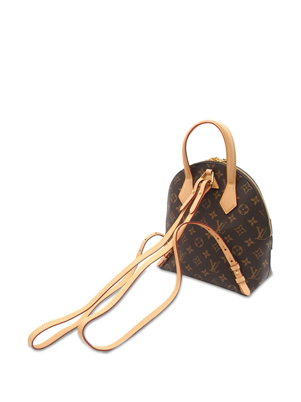 Louis Vuitton Pre-Owned 2019 Monogram Moon rugzak - Bruin