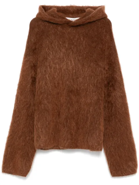 Séfr Ahti hoodie
