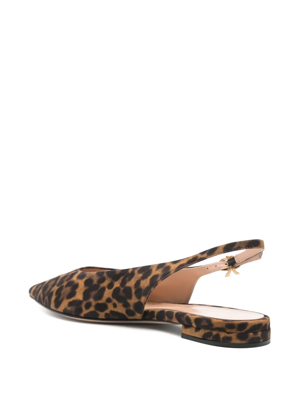 Gianvito Rossi Robbie ballerina's Bruin