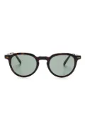 Dunhill pantos-frame sunglasses - Brown