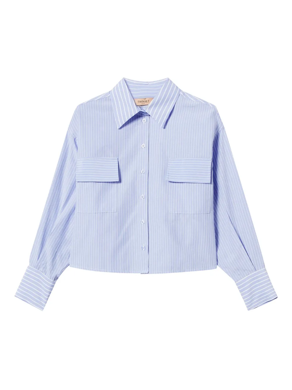 TWINSET camisa con rayas estampadas | azul | Image 1
