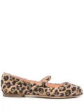 AGL studded ballet flats - Brown